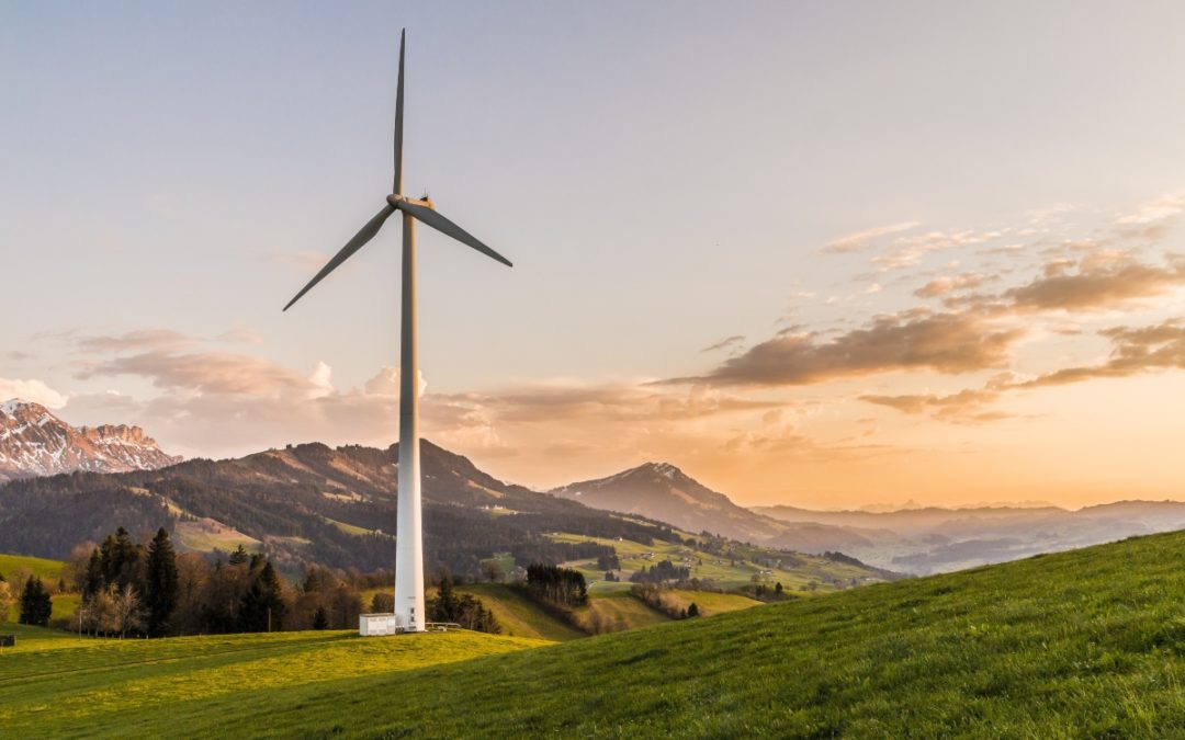 “Oscar del Medioambiente” selecciona a más de 200 proyectos chilenos