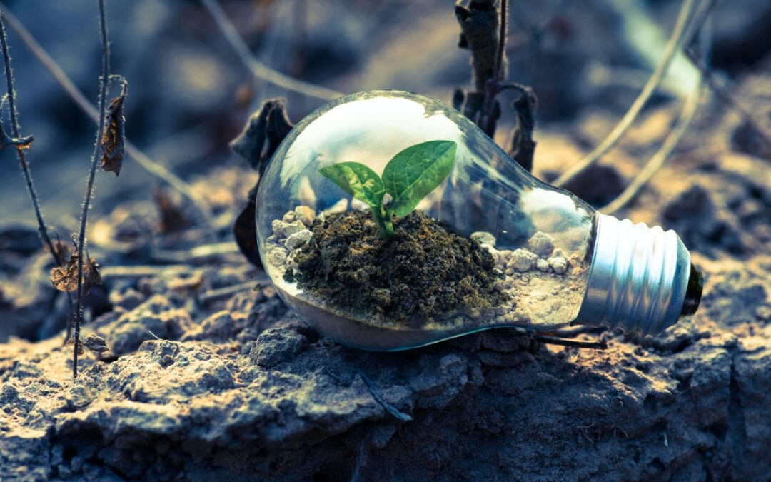 Socialab y BCI lanzan convocatoria para proyectos sostenibles