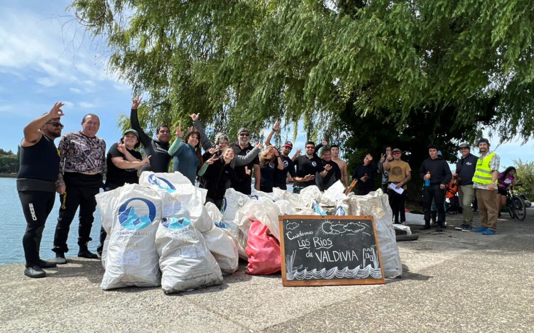 Masiva limpieza del río Calle Calle: más de una tonelada de desechos serán reciclados