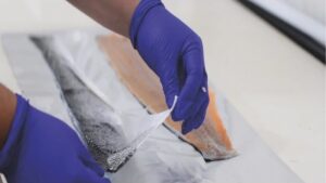 Gelx Salmón