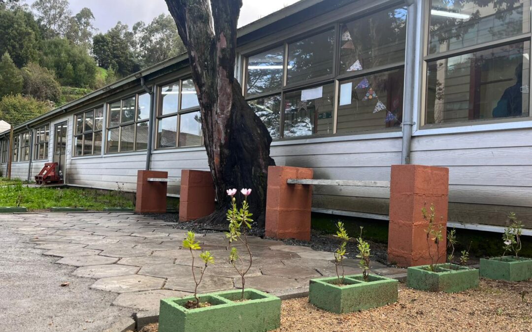 Construyen espacio eco-inclusivo en escuela de Concepción hecho en base a tarjetas de crédito y débito recicladas