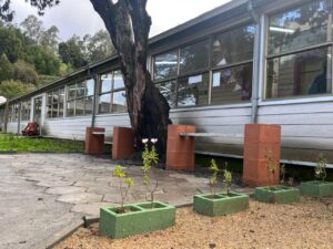 Inauguran nuevo espacio eco-inclusivo en escuela especial de Concepción hecho en base a tarjetas de crédito y débito recicladas.