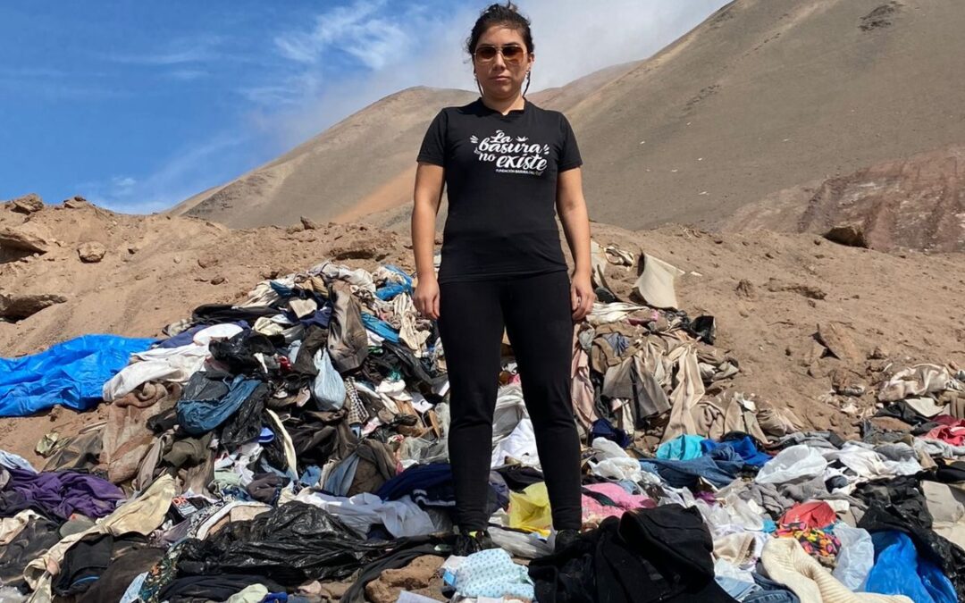 El crecimiento de los emprendimientos sustentables en Chile