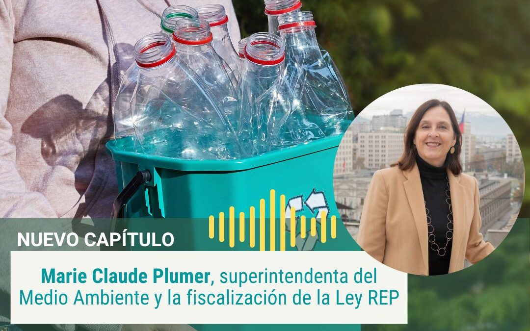 SMA y la fiscalización de la Ley REP