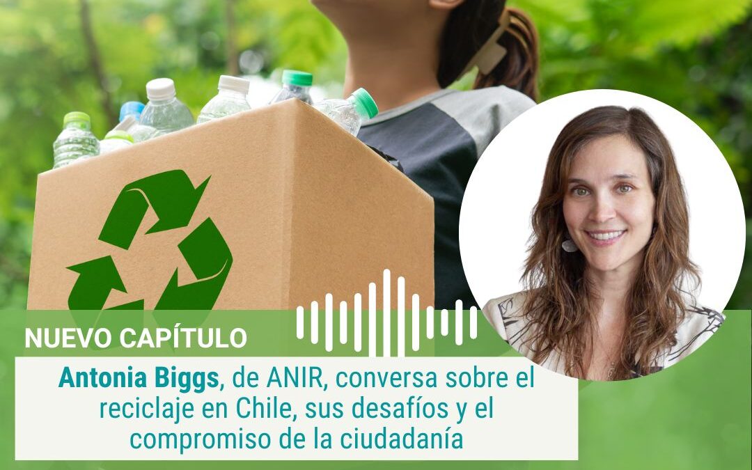 Antonia Biggs, de ANIR: «Aún hay empresas que no saben que deben cumplir la Ley REP»