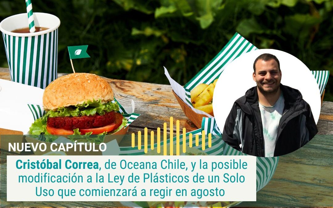 La postura de Oceana Chile sobre la posible modificación a la Ley de Plásticos de un Solo Uso