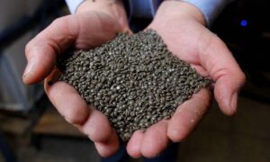 Pellets Resina