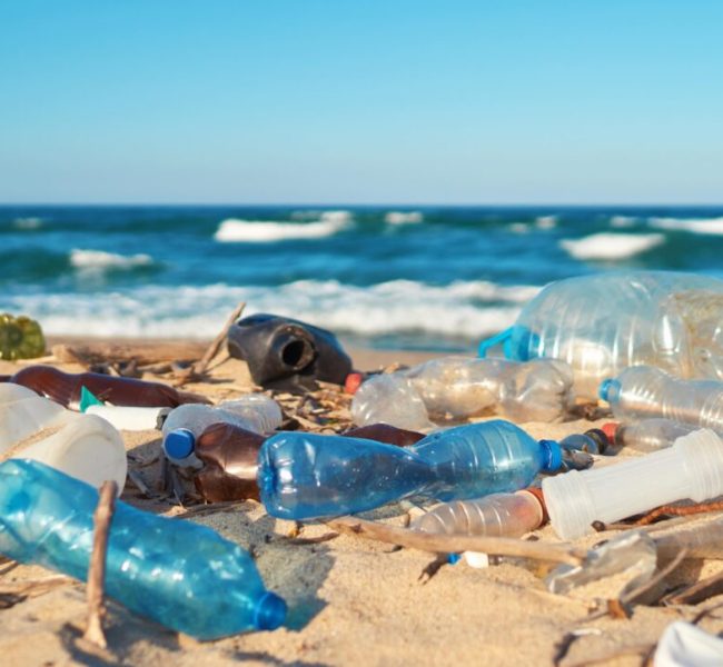 Según Naciones Unidas, el 46% de los residuos plásticos se deposita en vertederos municipales, mientras que el 22% se gestiona de manera inadecuada y se convierte en basura.